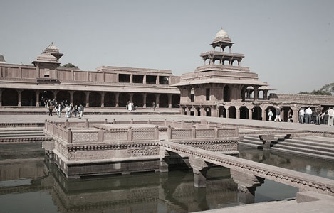 Tigers Temples Taj