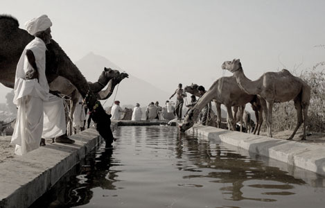 Royal Rajasthan