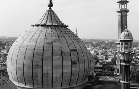 Golden Triangle & Tigers