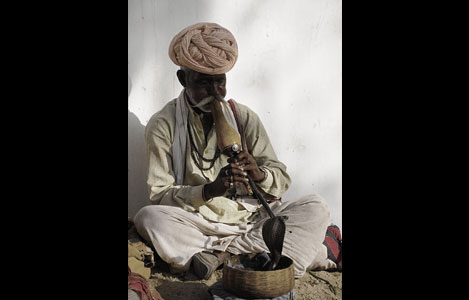 The Rajasthan Experience