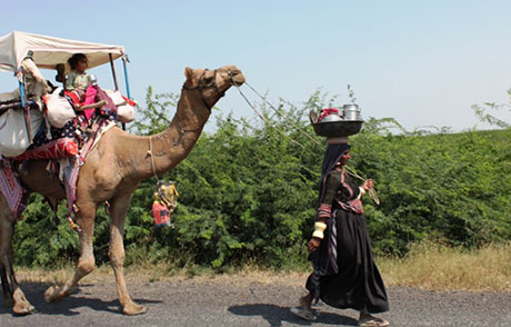 Magical Gujarat