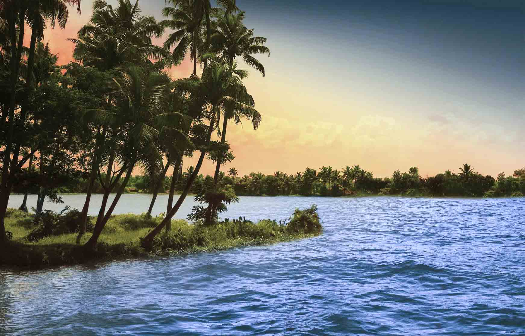 South India Bliss