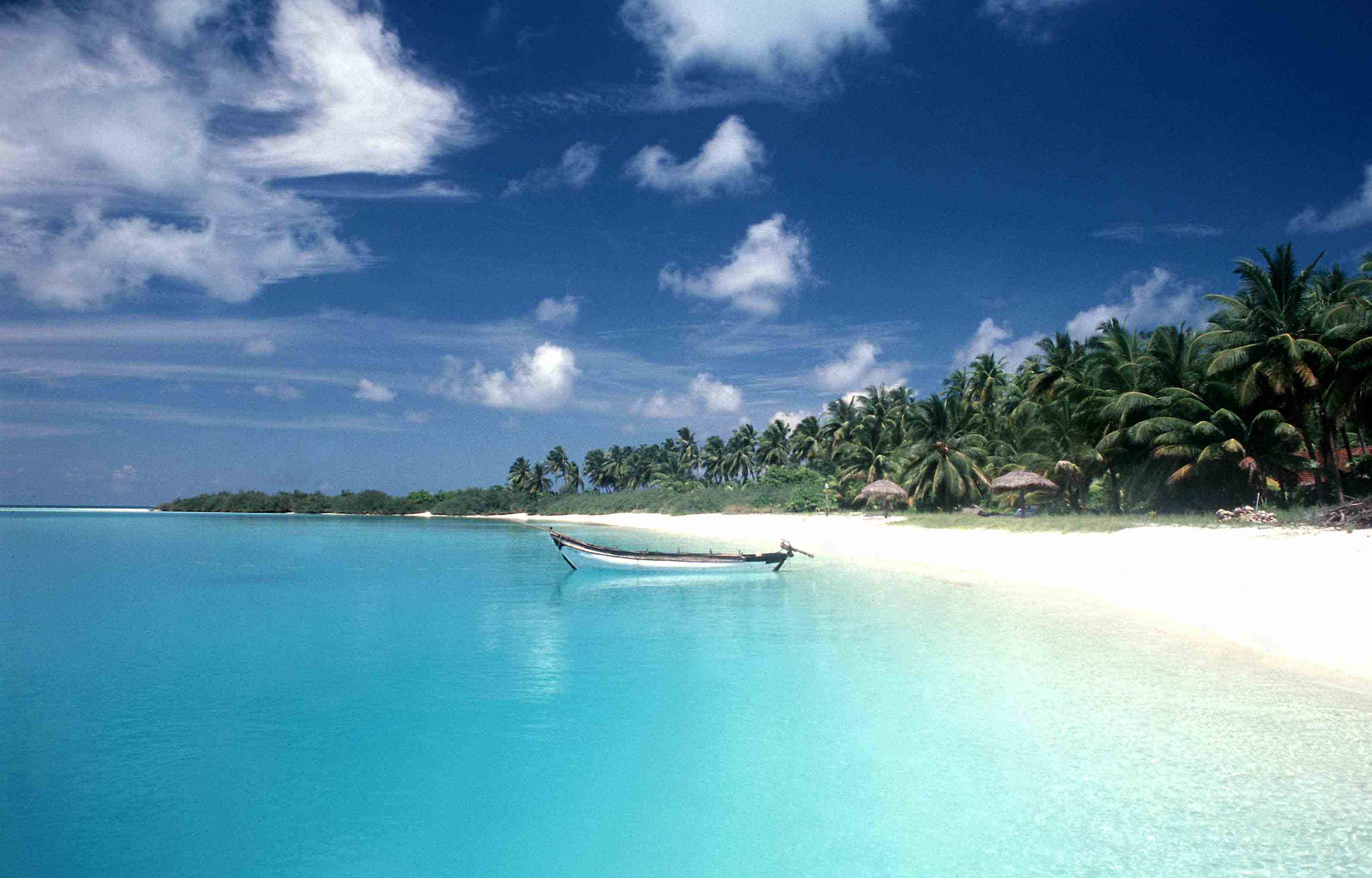 South India Bliss