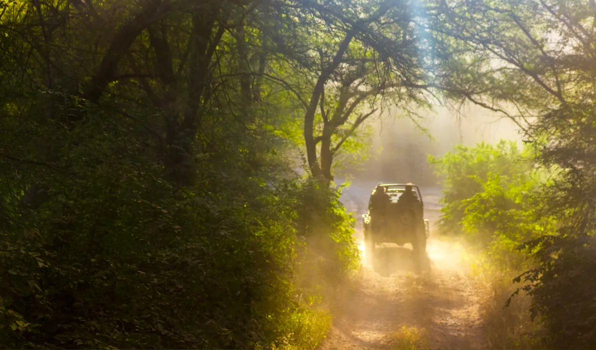 Off the Beaten Track – The Subcontinent Stops Here
