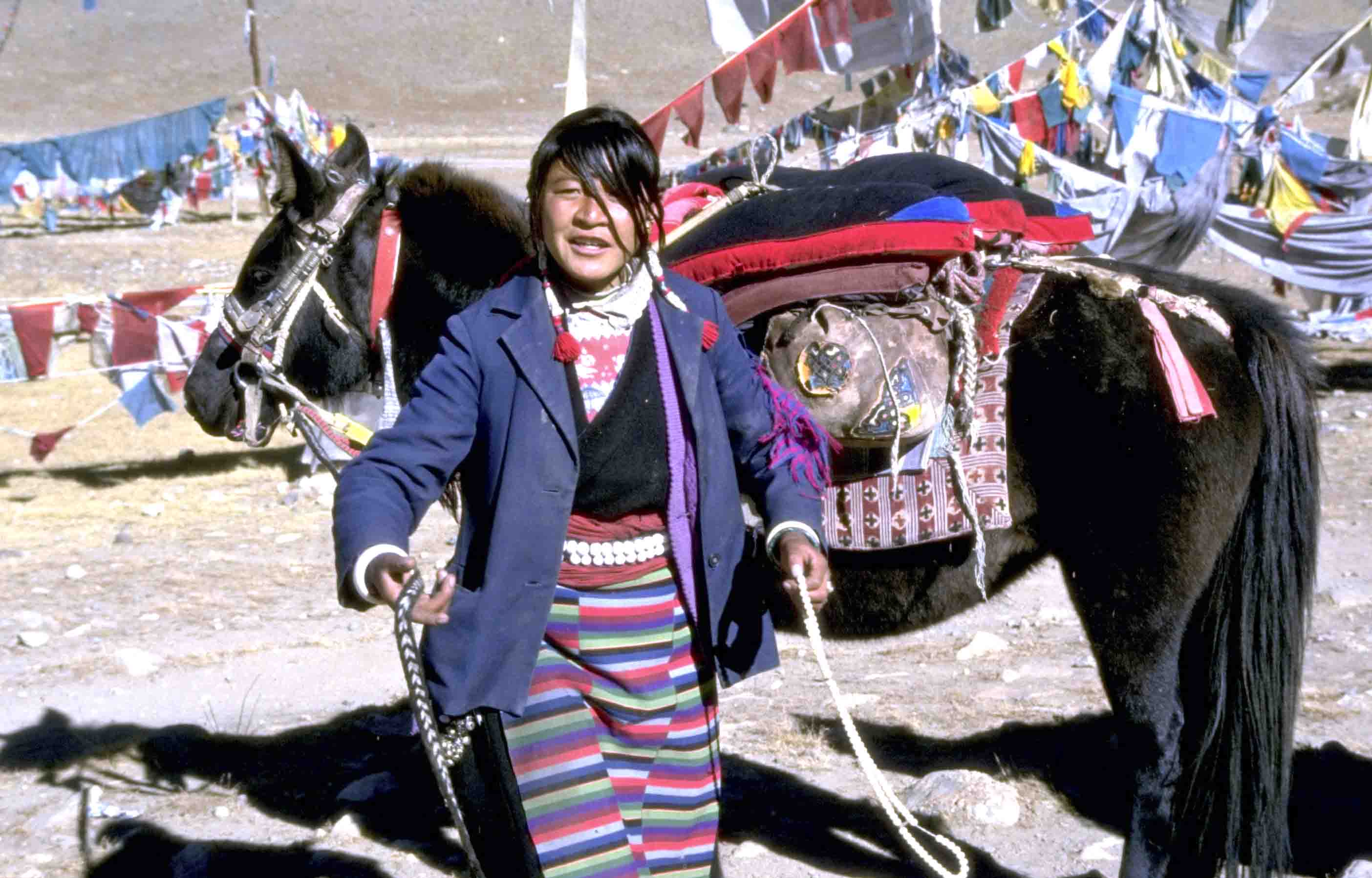 The Jewel in the Lotus – Northern India cultural feast